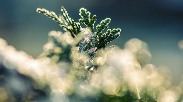 Avertizare ANM. Cod galben de ceaţă și POLEI în șase județe