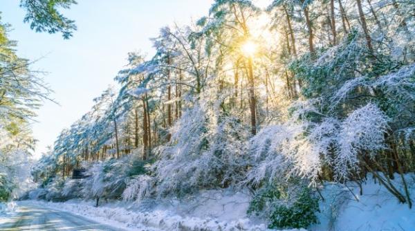 Alaska se confruntă cu ICEMAGEDDON, apocalipsa gheței VIDEO