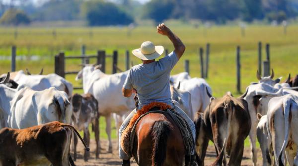 Argentina nu vrea să exporte carne de vită. Încă