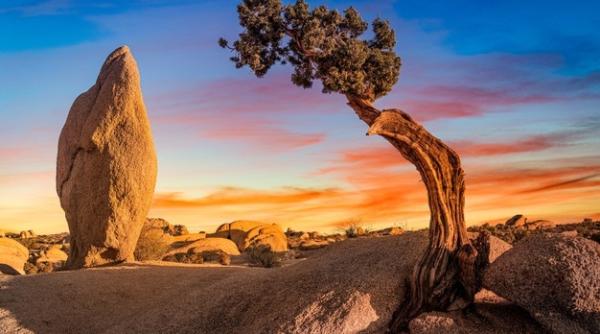 Previziune sumbră. Anul când pământul va deveni de nelocuit, extrem de aproape