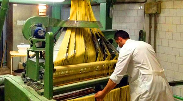 Chesnoiu: ”Vrem să reducem dezechilibrele și să readucem în România industria de procesare”