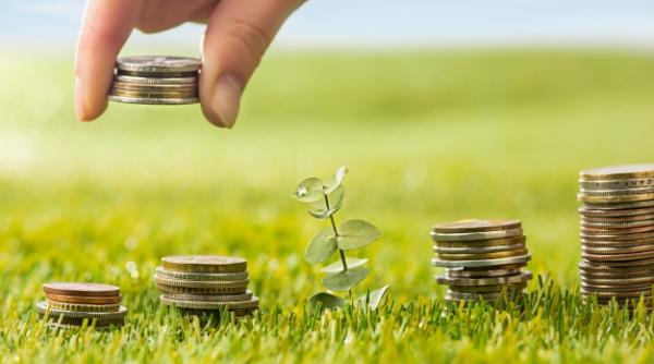 Pas cu pas. Ce trebuie să faci pentru a deveni INVESTITOR