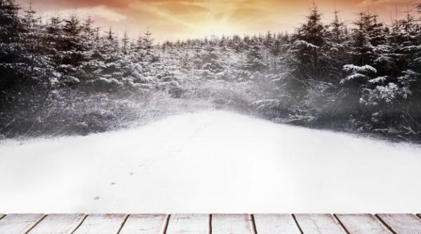 Vremea în februarie. Elena Mateescu (ANM) vine cu prognoza meteo. Care sunt șansele de ninsoare