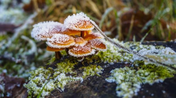 Extremele meteo ale lunii februarie: minima -39° C, maxima 26° C 