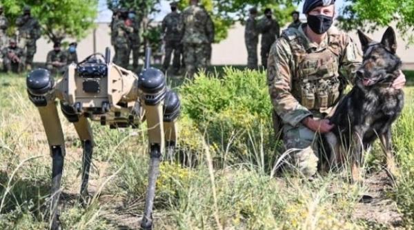 Câini-robot pentru patrulare. SUA, metodă nouă pentru PAZA graniței cu MEXICUL