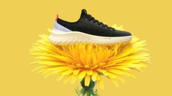 Un brand american a lansat niște încălțări cum nu mai există altele