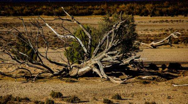 Secetă CUMPLILTĂ în Spania și Portugalia. Oamenii nu au mai văzut așa ceva