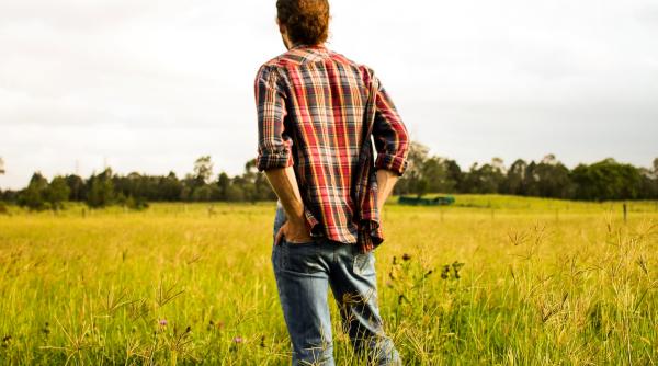 Card de credit pentru fermieri. Acces rapid la bani, dar nu ești zorit să plătești