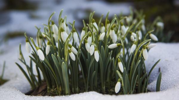 Meteo. Prognoza pentru următoarele patru săptămâni