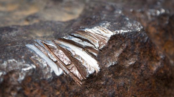 Situație INEDITĂ la bursa din Londra. Cotațiile la NICHEL s-au reluat și s-au oprit imediat