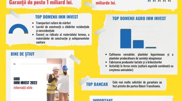 Peste un miliard de lei, acordați prin IMM INvest și AGRO IMM INVEST 