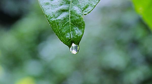 Vești proaste de la ANM: Secetă pedologică de la moderată la extremă