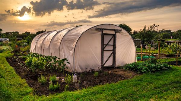 Fermierii români cer ca ministrul Agriculturii să fie inclus în CSAT, ca urmare a crizei din Ucraina