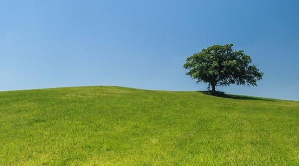 Criza energetică. Gabriel Comănescu (GSP): ”Eu văd o problemă mult mai gravă”