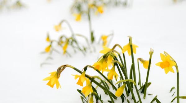 Prognoza meteo până pe 25 aprilie. De când se încălzește vremea