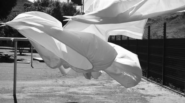 Cod galben de vânt puternic în 10 județe