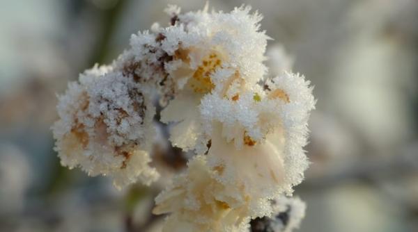 Avertismentul meteorologilor: Vremea se răcește brusc