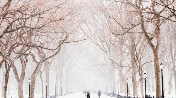 Ninsori abundente în centrul ţării şi ploi puternice în restul zonelor 