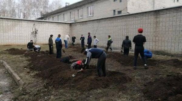 Ordin de ucidere a prizonierilor ucraineni, publicat