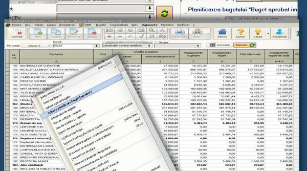(P) Importanța utilizării unui software de tip ERP