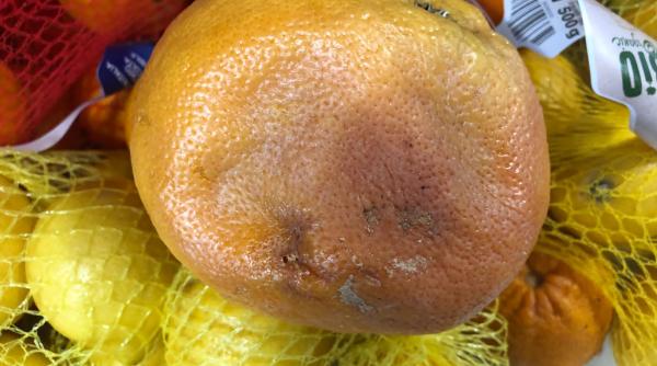 Inspectorii ANPC au vizitat două magazine din București și s-au îngrozit