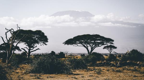 Pe cine se bazează UE pentru a putea să înlocuiască importurile de gaze ruseşti