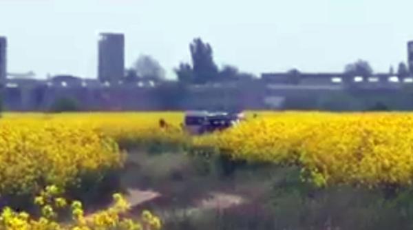 Asasinat în stil mafiot în apropiere de Capitală