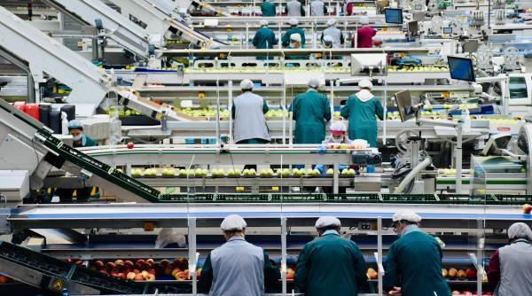 Piața locurilor de muncă BUBUIE în România