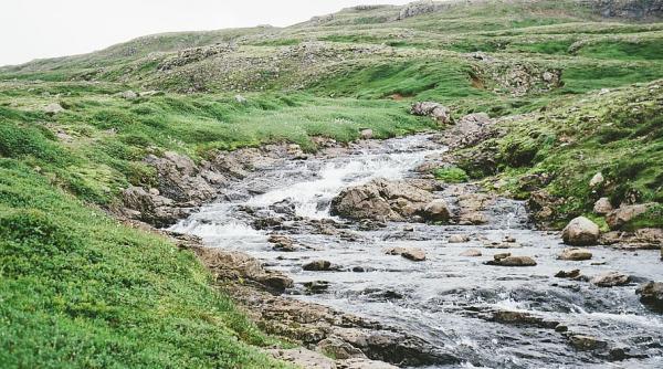”Râul portocaliu”, o catastrofă ce afectează Slovacia și Ungaria VIDEO