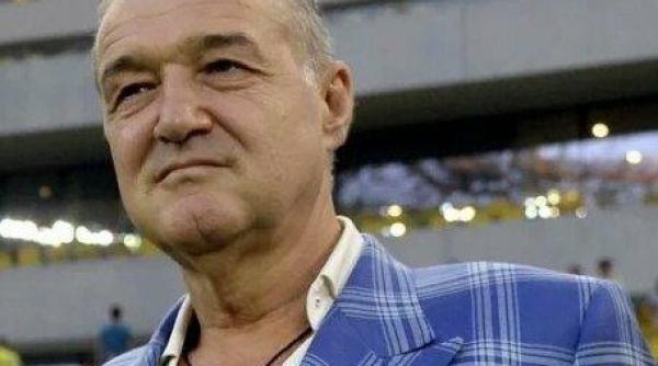 România nu mai are ciobani! Gigi Becali știe cum a apărut această criză și are și soluție