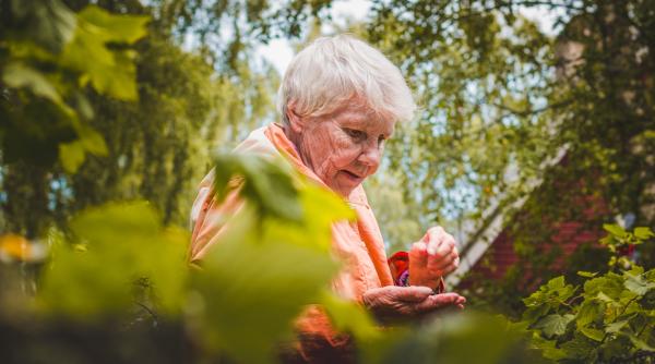 Noua Lege a pensiilor vine cu MODIFICĂRI foarte importante. Despre ce este vorba 