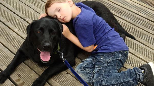 Proprietarii de animale ar putea plăti amenzi de până la 10.000 de lei