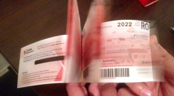 Apare tichetul de activități casnice, în valoare de 15 lei. Guvernul a aprobat normele de aplicare