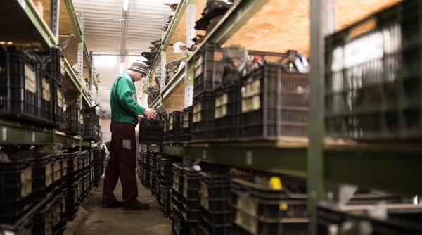 De ce piesele de la dezmembrări auto sunt cele mai căutate?