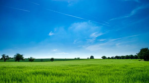 Modificări privind vânzarea terenurilor agricole din extravilan