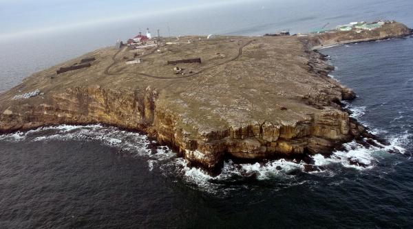 Ucraina acuză: Rusia a lansat bombe cu fosfor asupra Insulei Şerpilor