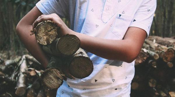 Cota redusă de TVA pentru lemnul de foc nu se va mai aplica începând cu această dată 