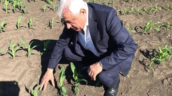 Este secetă în România? Petre Daea: Suferinţa plantelor trebuie să o vezi la faţa locului