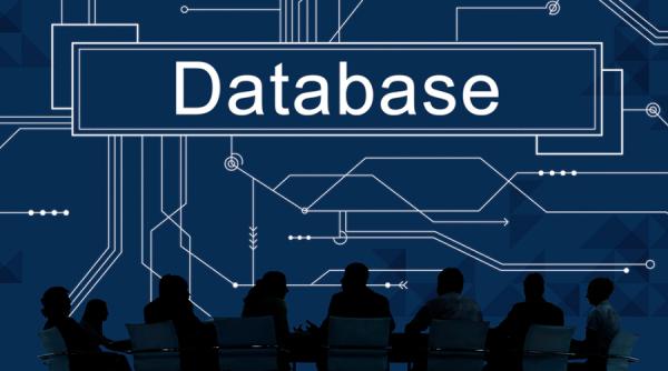 Bază de date a unei importante companii de curierat, de vânzare pe internet. Reacția companiei