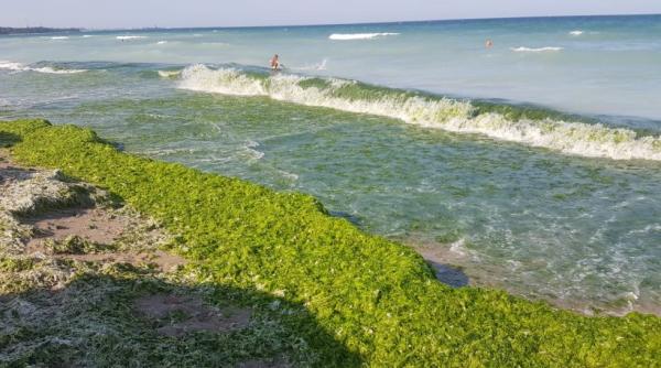 Poluare în Marea Neagră. Fost șef al Gărzii de Mediu spune cât de gravă este situația