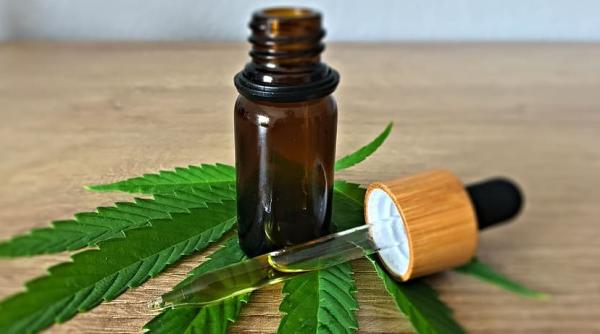 Canabisul în scop medical, blocat în România, dar achiziționat ilegal de pacienții disperați. Avertisment