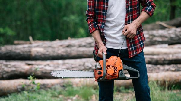 (P) Drujba - unealta utilă pentru toaletarea copacilor, tăierea acestora și realizarea activităților industriale