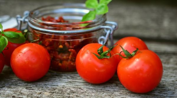 Sfaturi utile de care să ții cont atunci când vrei să pui pe picioare o afacere în agricultură