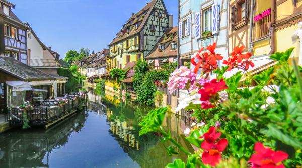 Seceta îi aduce pe francezi în situații neașteptate: ”Salvați florile”, îndeamnă un primar