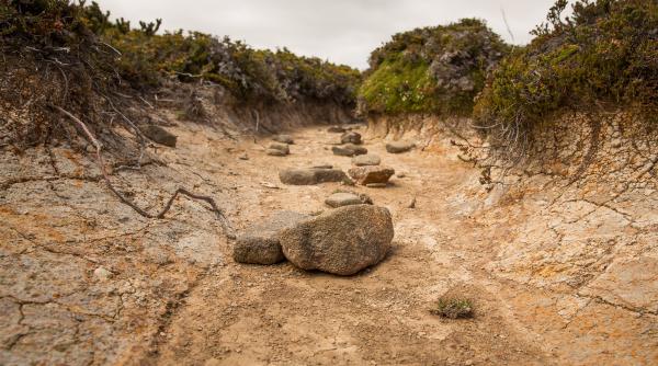 ”Pietrele foamei”, vechi de secole, scoase la iveală de seceta din Europa VIDEO