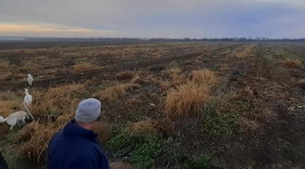 Seceta a afectat deja aproape 403.000 de hectare agricole în România