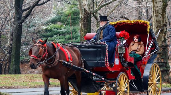 Dispare un simbol al New York-ului. Este o ”barbarie”!