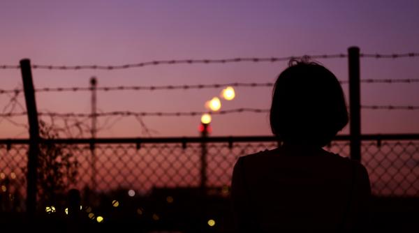 15.000 de lei pentru garduri electrice. Ce condiții trebuie îndeplinite pentru a obține banii