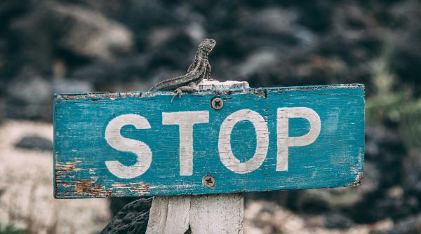 Putin lovește din nou și ordonă: Opriți totul! Gazprom a trecut la acțiune