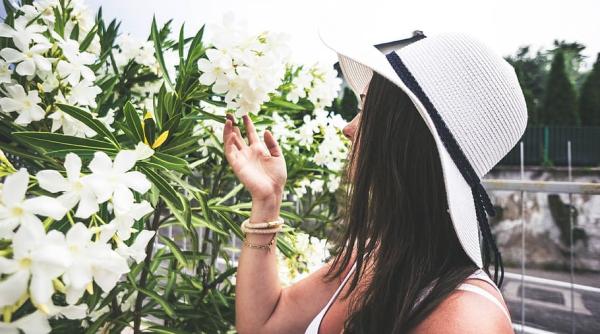 Dragoş Anastasiu: Angajaţii la stat care câştigă 3.000 - 4.000 de euro nu au nevoie de vouchere de vacanţă